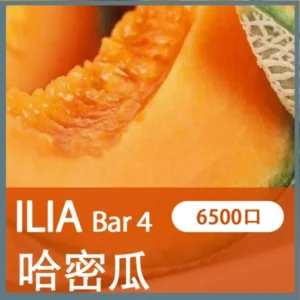 ILIA哩亞4代一次性拋棄式電子煙6500口|沁甜蜜瓜